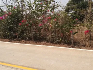 Land for sale in Si Suk, Nakhon Ratchasima