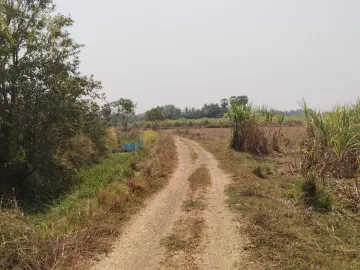 Land for sale in Si Lako, Nakhon Ratchasima