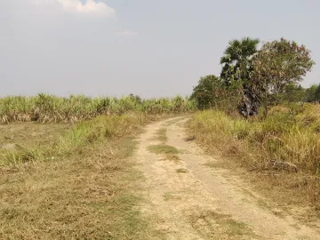 Land for sale in Si Lako, Nakhon Ratchasima