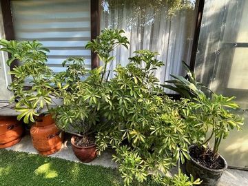 Casa en Venta en 14 norte con Avenida Lircay Talca