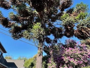 Casa en Venta en 14 norte con Avenida Lircay Talca