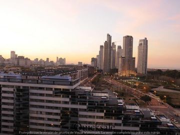 NUEVO INGRESO ZENCITY