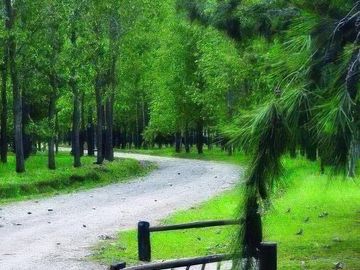 Terreno en venta - 669mts2 - General Belgrano