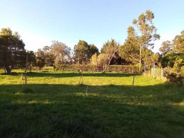 Casa en venta - 3 Dormitorios 2 Baños - 800Mts2 - Miramar