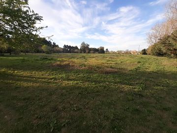 Casa quinta en VENTA |  Av. 149 y 38 La Plata Ideal Inversores
