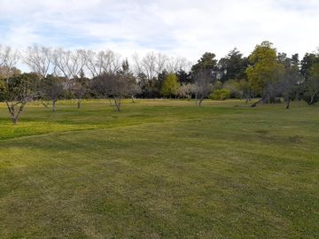 Casa quinta en VENTA |  Av. 149 y 38 La Plata Ideal Inversores