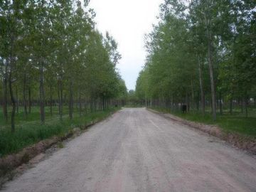 Terreno venta -980mts2 totales- General Belgrano
