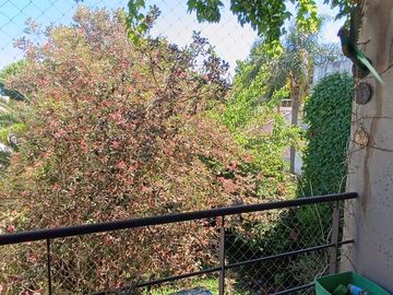 Casa en Olivos próximo Av Maipú. Gran jardín.
