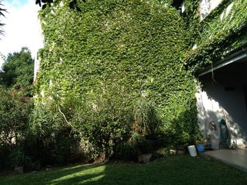 Casa en Olivos próximo Av Maipú. Gran jardín.