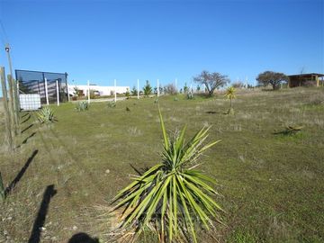 Parcela en Venta en Lote 4, sector Las Huachas