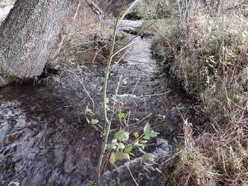 Chacra en Mallín Alto