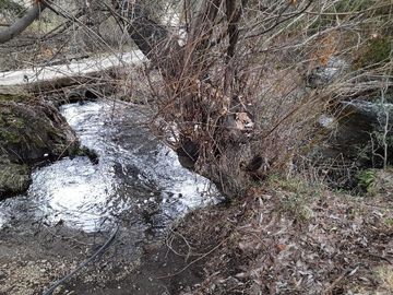 Chacra en Mallín Alto