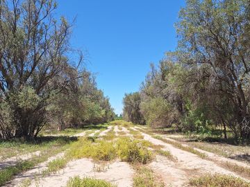 Finca-Terreno en Venta en Guaymallén POZO SURGENTE de agua apta para consumo