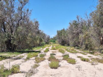 Finca-Terreno en Venta en Guaymallén POZO SURGENTE de agua apta para consumo