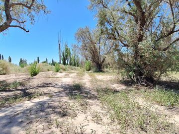 Finca-Terreno en Venta en Guaymallén POZO SURGENTE de agua apta para consumo