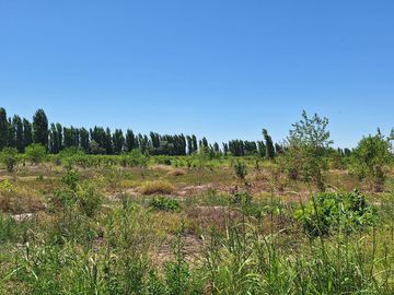 Finca-Terreno en Venta en Guaymallén POZO SURGENTE de agua apta para consumo