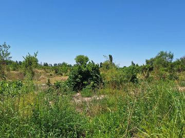 Finca-Terreno en Venta en Guaymallén POZO SURGENTE de agua apta para consumo