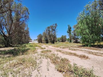 Finca-Terreno en Venta en Guaymallén POZO SURGENTE de agua apta para consumo