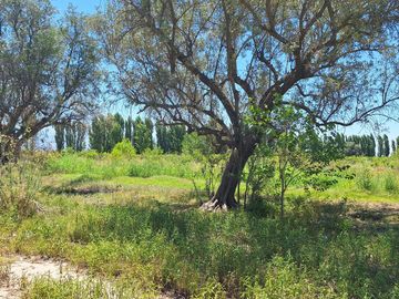 Finca-Terreno en Venta en Guaymallén POZO SURGENTE de agua apta para consumo