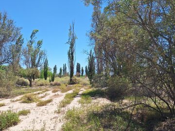 Finca-Terreno en Venta en Guaymallén POZO SURGENTE de agua apta para consumo