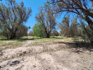 Finca-Terreno en Venta en Guaymallén POZO SURGENTE de agua apta para consumo