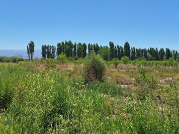 Finca-Terreno en Venta en Guaymallén POZO SURGENTE de agua apta para consumo