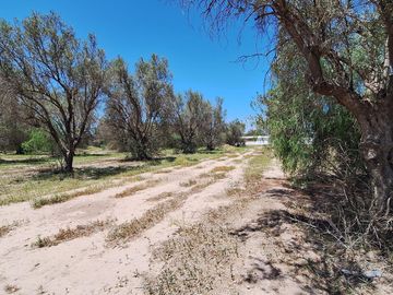 Finca-Terreno en Venta en Guaymallén POZO SURGENTE de agua apta para consumo