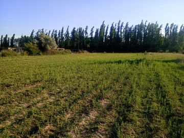 Terreno en venta en Vistalba. Oportunidad de Inversión
