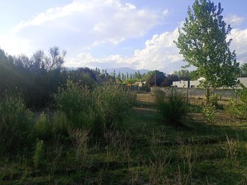 Terreno en venta en Vistalba. Oportunidad de Inversión