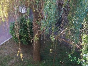 Casa en venta - 4 Dormitorios 3 Baños - Cochera - 300Mts2 - Cañuelas