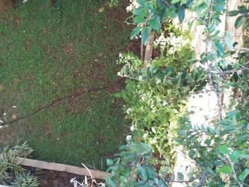 Casa en venta - 4 Dormitorios 3 Baños - Cochera - 300Mts2 - Cañuelas