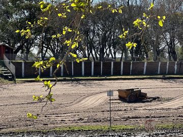 Balnerario Los Pinos - A metros de la Ruta Nacional 14 y a metros de la Ruta Provincial 20