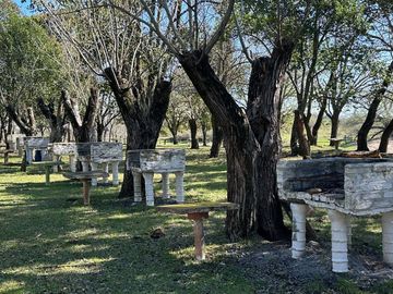Balnerario Los Pinos - A metros de la Ruta Nacional 14 y a metros de la Ruta Provincial 20