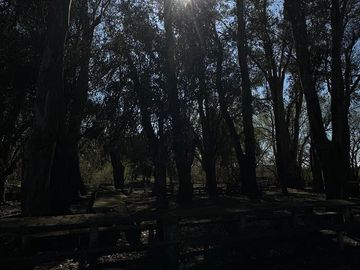 Balnerario Los Pinos - A metros de la Ruta Nacional 14 y a metros de la Ruta Provincial 20