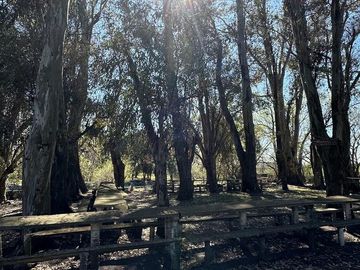 Balnerario Los Pinos - A metros de la Ruta Nacional 14 y a metros de la Ruta Provincial 20