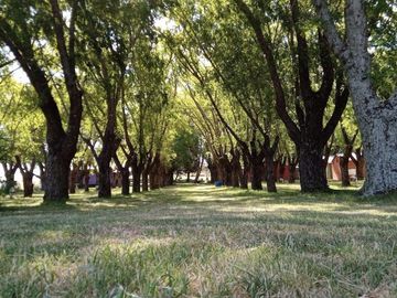 Balnerario Los Pinos - A metros de la Ruta Nacional 14 y a metros de la Ruta Provincial 20