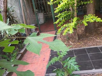 PH en planta baja