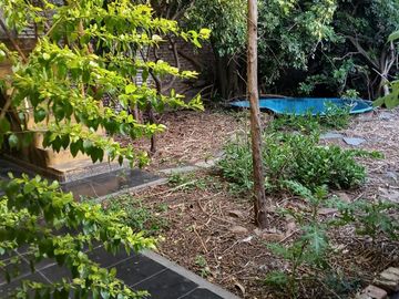 PH en planta baja