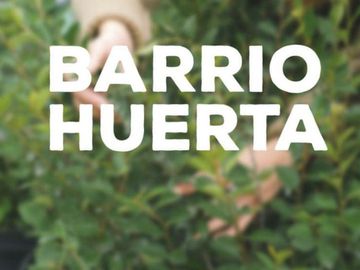 RBS. Divino lote interno en barrio, 