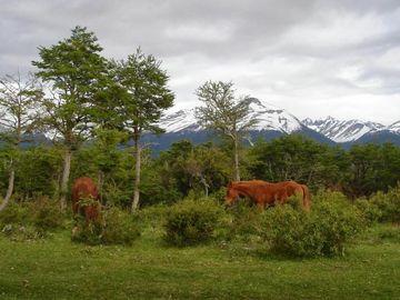 Chacra de 2.8 has en  Venta sobre ruta en Chubut
