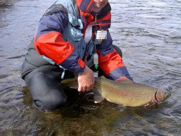 Chacra de 2.8 has en  Venta sobre ruta en Chubut