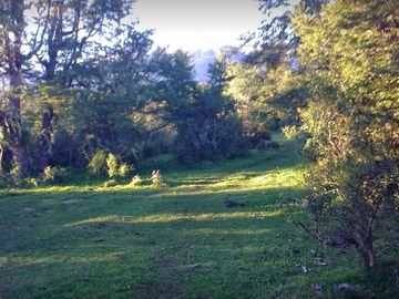 Chacra de 2.8 has en  Venta sobre ruta en Chubut