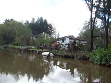 Casa en venta en el Delta con plantación de 190 hectáreas