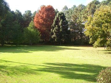 Casa en venta en el Delta con plantación de 190 hectáreas
