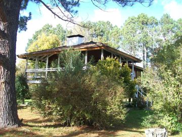 Casa en venta en el Delta con plantación de 190 hectáreas