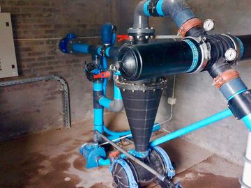 Finca Premium de Ciruelas Dagen con Infraestructura de Alta Tecnología – Cuadro Benegas – San Rafael