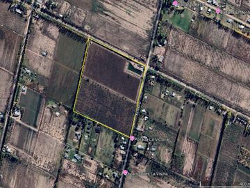 Finca Premium de Ciruelas Dagen con Infraestructura de Alta Tecnología – Cuadro Benegas – San Rafael