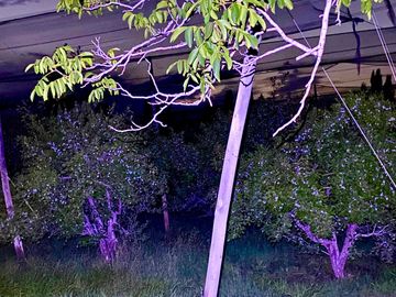 Finca Premium de Ciruelas Dagen con Infraestructura de Alta Tecnología – Cuadro Benegas – San Rafael