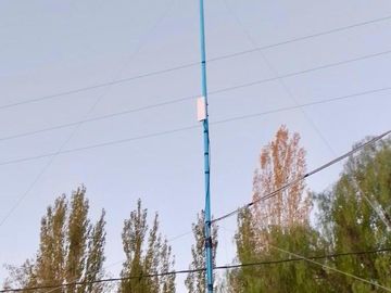 Finca Premium de Ciruelas Dagen con Infraestructura de Alta Tecnología – Cuadro Benegas – San Rafael
