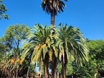 Lote en venta Barrio Cerrado San Jose Moron Residencial